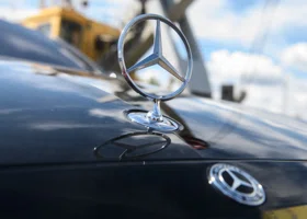 Фотография из галереи