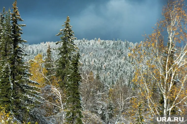 Как обычно, первой приближение зимы ощущает горнозаводская часть Челябинской области