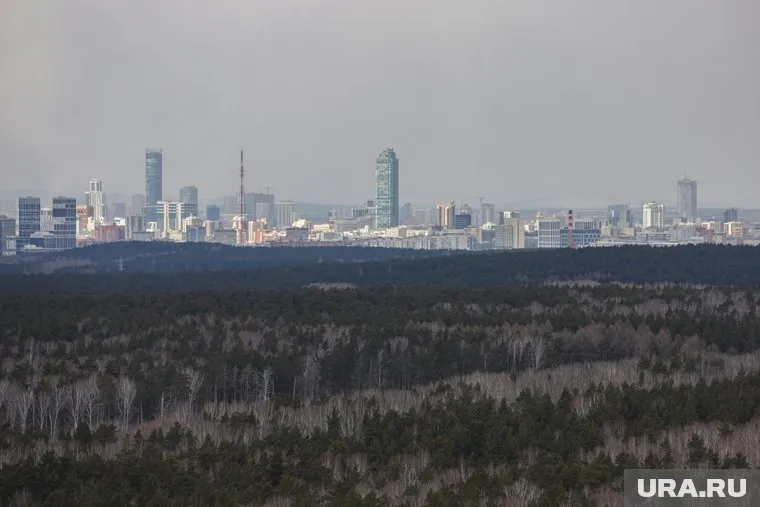 Леса — это легкие города, которые нужно беречь, уверена Валентина Оглоблина