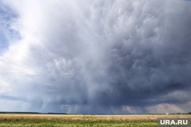 В Курганской области воздух прогревается до 24 градусов