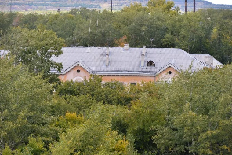 Коркино. Роза. Челябинск., крыша, деревья, коркино, дом в зелени