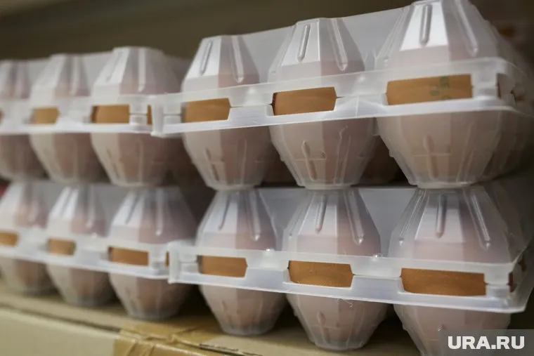 Самая низкая цена на яйца составляет 150 рублей