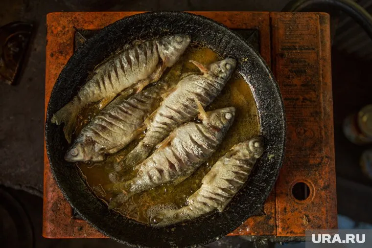 Самыми популярными блюдами в ХМАО стали стерлядь, оленина и муксун