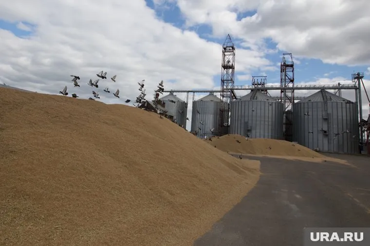 Крупный линейный элеватор построят в Заводоуковском городском округе