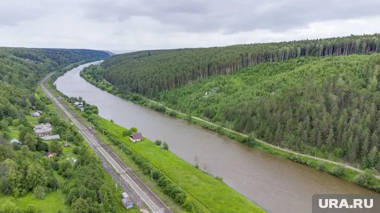 В лесах региона запрещают находиться из-за возросшего риска возникновения пожаров