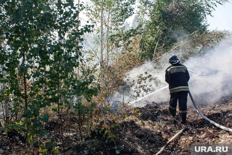 В течение 24 часов муниципалитет должен попытаться ликвидировать пожар в лесу, напомнили в Минприроды Росси