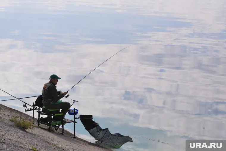 Чаще всего екатеринбуржцы ловят карася, щуку и леща