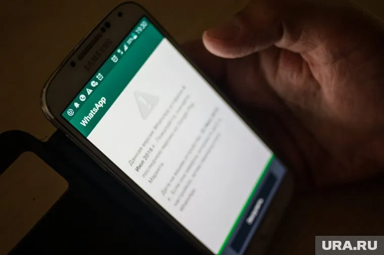 Александр Хинштейн допустил ограничение работы Whatsapp