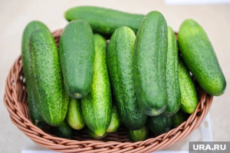 За полкилограмма огурцов женщина заплатила пять тысяч рублей