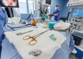 Фотография из галереи