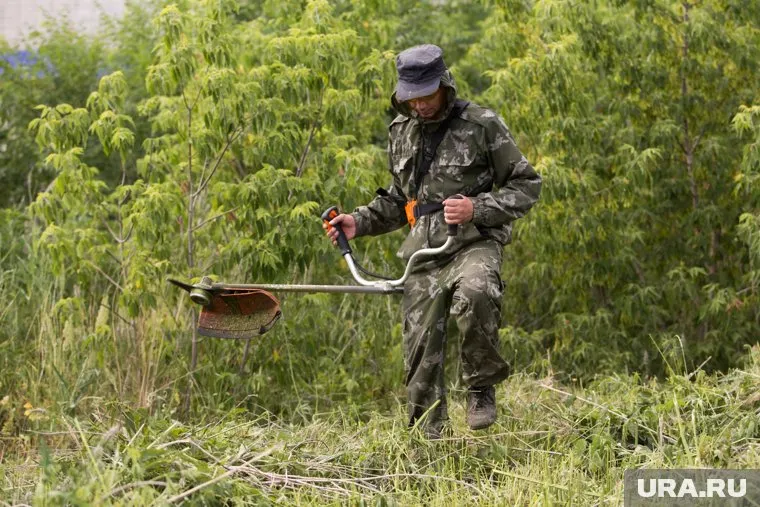 Жители переживают, что из-за покоса травы исчезнут цветы в городе
