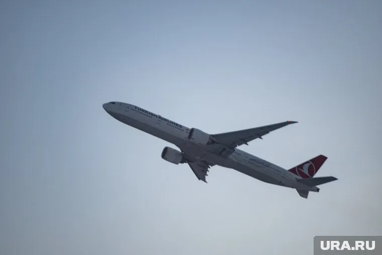 Внуково приостановил работу