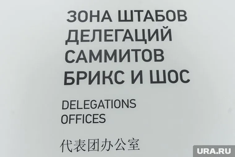Ситуацию по мирному решению украинского конфликта будут обсуждать на саммите БРИКС
