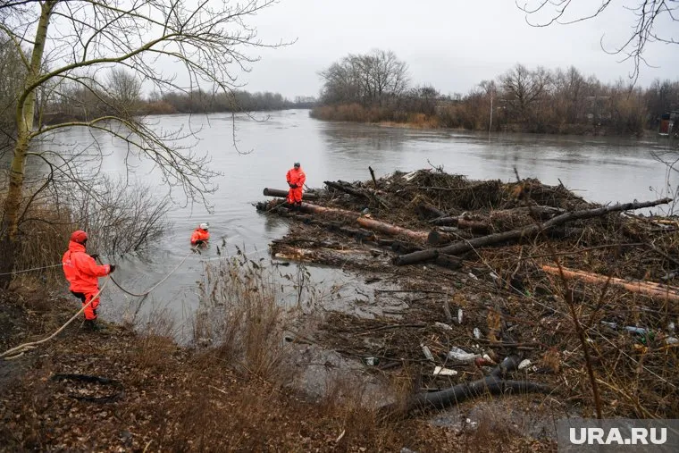 Труп мужчины нашли около реки в Белоярском районе ХМАО