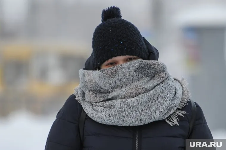 После декабрьских оттепелей и бесснежья в Челябинск пришла настоящая зима