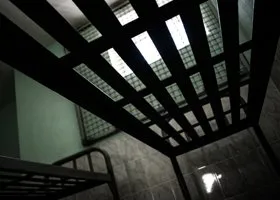 Фотография из галереи