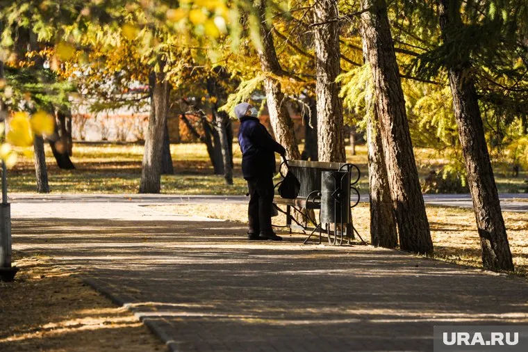 В европейской части России теплый воздух с Атлантики повысит температуру воздуха до 14 градусов тепла