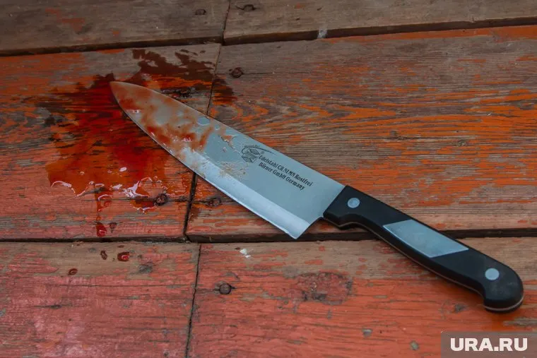 В отношении подозреваемого возбудили уголовное дело по статье об убийстве