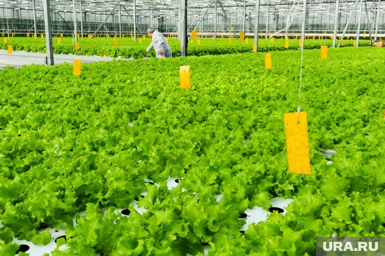 Агроному в Магадане предлагают постоянную работу за 380 тысяч рублей в месяц