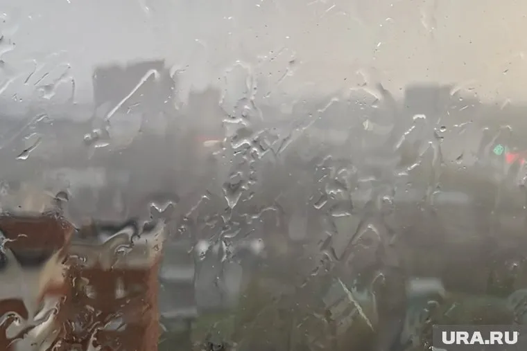 Несмотря на дождь и ветер, воздух местами в регионе прогреется до +26 градусов