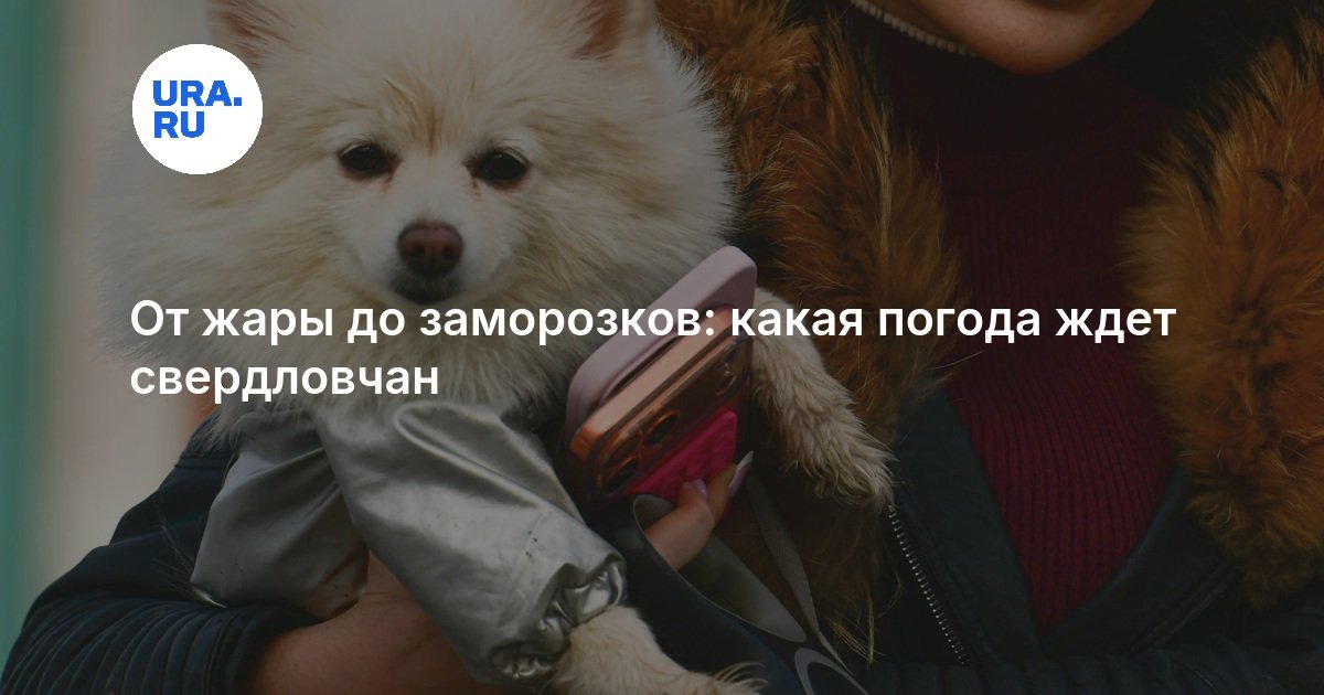 Свердловскую область ждет резкий перепад температур: от +28 до ночных заморозков