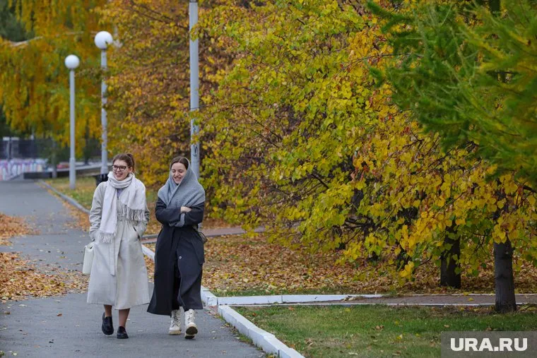 На фоне напряженной геополитической обстановки россияне все чаще сталкиваются с тревогой