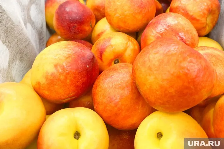 Торговой лавки по указанному в видеоролике адресу не существует