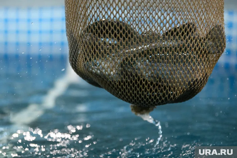 Компания работает на рынке с 2006 года