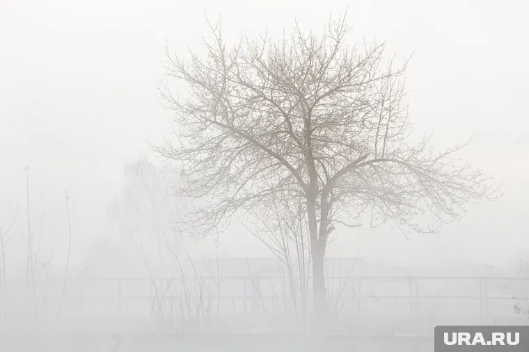 В Шадринске будет 23 градуса