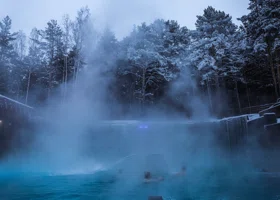 Тюменский горячий источник начали рекламировать в Дубае