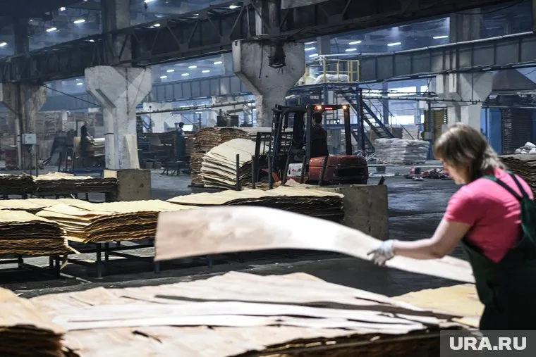 Компания специализируется на выпуске фанеры (архивное фото)