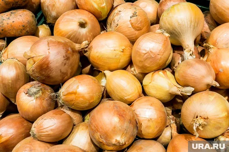 Лук не защищает от вирусов гриппа и ОРВИ