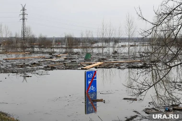 Уровень воды в Тоболе продолжит снижаться ближайшие дни (архивное фото)