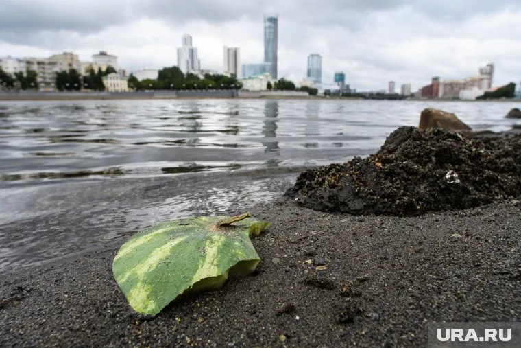Бабушка и внучка скончались после отравления арбузом в Москве