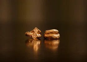 Фотография из галереи