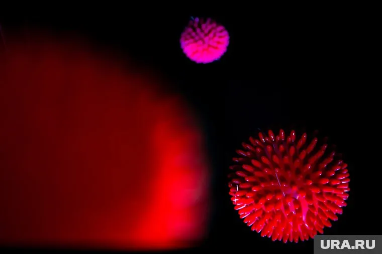 Коронавирус сопровождается потерей вкуса и обоняния, высокой температурой, одышкой и сухим кашлем