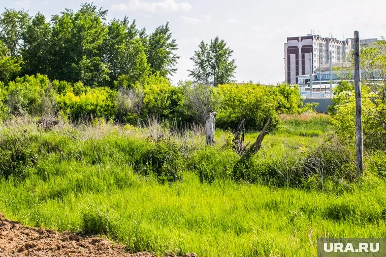 Молодежный парк превратился в заросший пустырь в центре Кургана