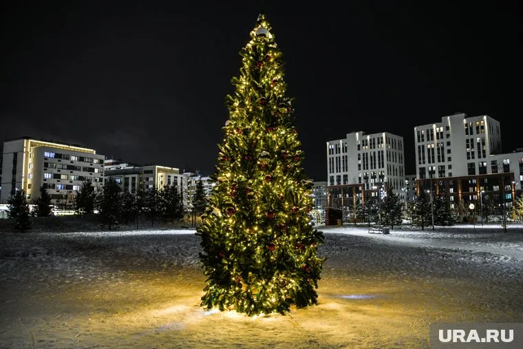 Из-за мороза в Лабытнанги отменили мероприятия в новогоднюю ночь