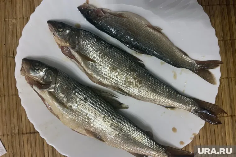 Претензии покупательницы передали в отдел качества продукции