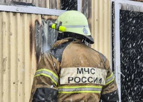 Фотография из галереи