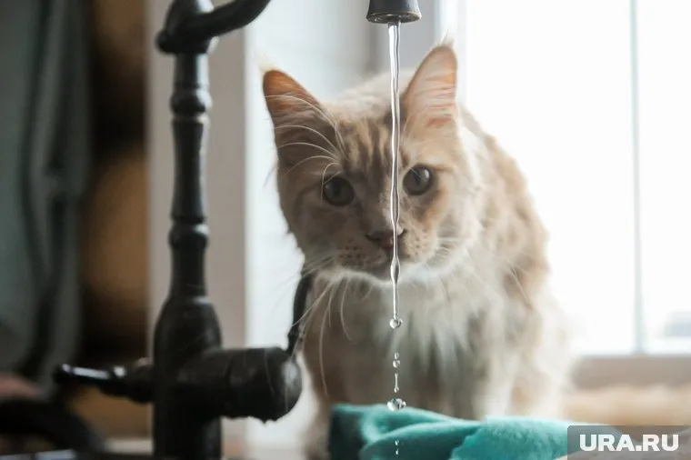 Вода временно отключена