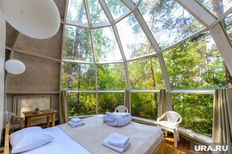 База отдыха расположена в сосновом лесу (архивное фото)