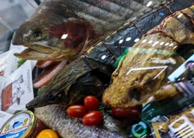 Ярмарка камчатских деликатесов и «Пир во время чумы»: афиша на выходные в Ноябрьске, Муравленко и Губкинском  