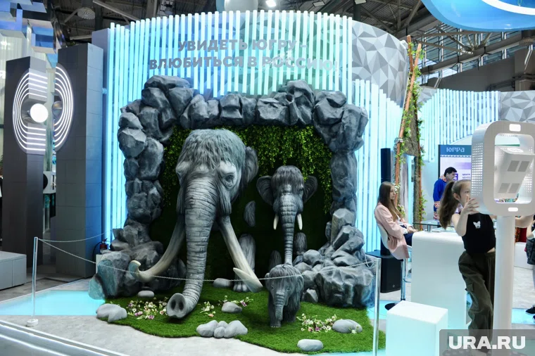 Экспозиция Югры на выставке-форуме «Россия» на ВДНХ