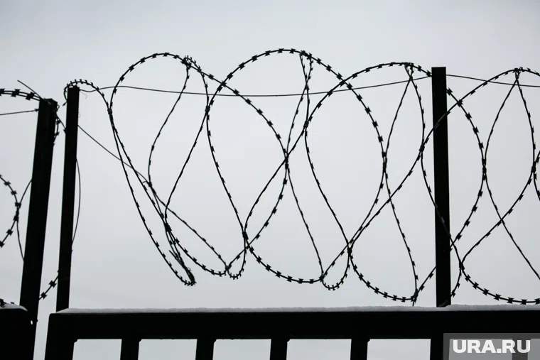 Инцидент произошел в ИК-53