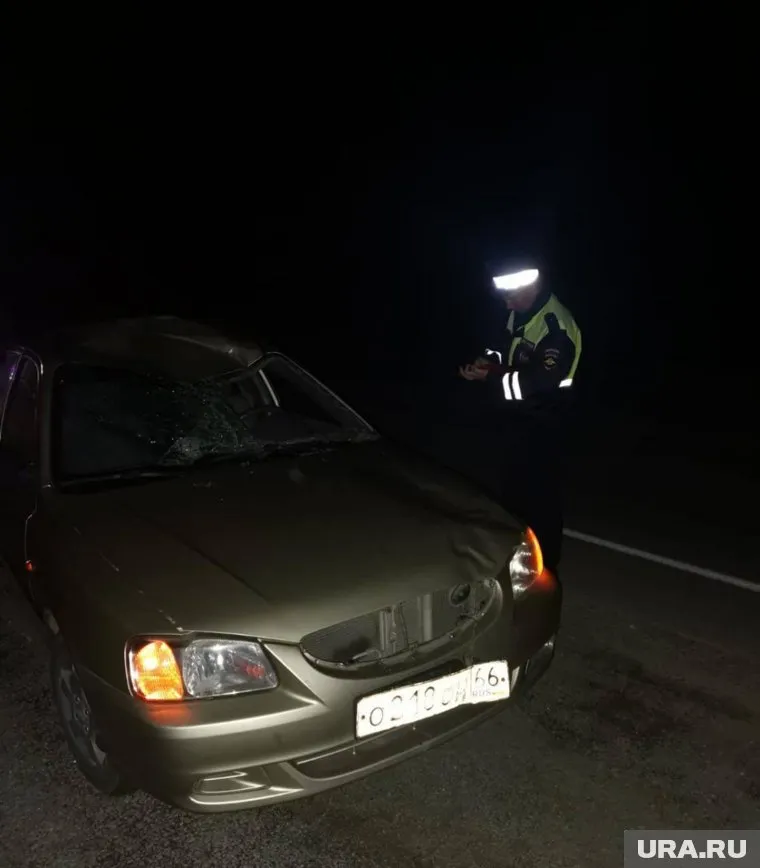 Свердловчанка на неосвещенной дороге насмерть сбила лося