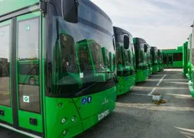 Тюменских перевозчиков оштрафовали за отсутствие судимости