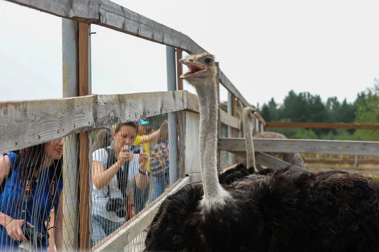 Пресс-тур по Синегорью Челябинск