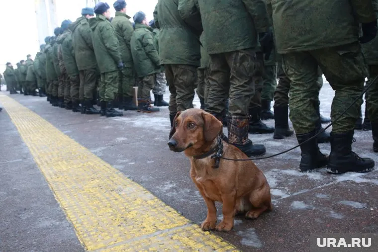 Частичная мобилизация продолжалась больше месяца
