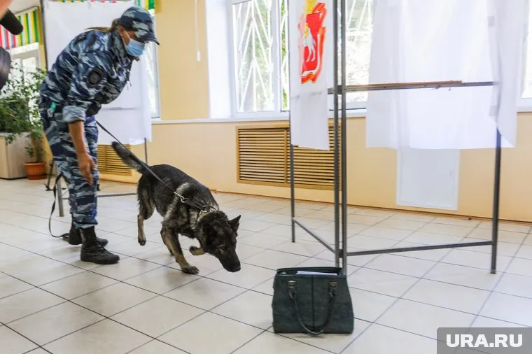 Прибывшие в школу сотрудники правоохранительных органов обследовали территорию (архивное фото)